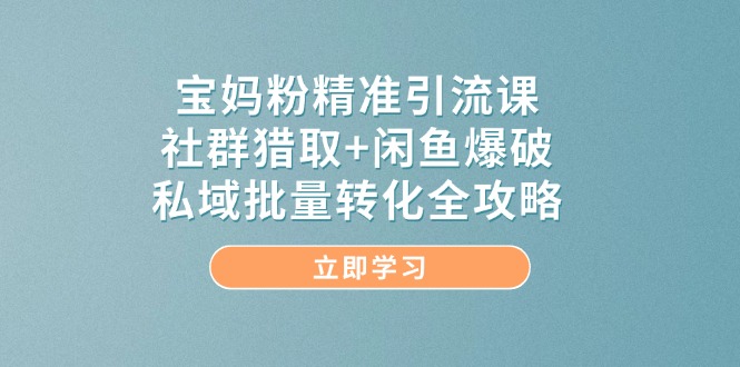 宝妈粉精准引流课，社群猎取+闲鱼爆破，私域批量转化全攻略-千优网创