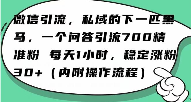 怎么搞精准创业粉?微信新赛道,每天一小时,利用Ai一个问答日引100精准粉-千优网创
