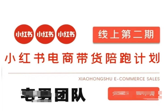 小红书电商带货课2期，月利润20个的小红书电商的有货源，无货源，虚拟产品，付费投流等整套玩法-千优网创