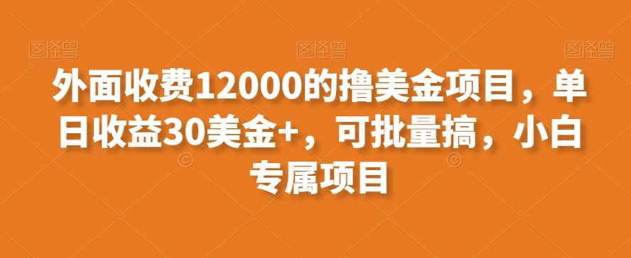 外面收费12000的撸美金项目，单日收益30美金+，可批量搞，小白专属项目-千优网创
