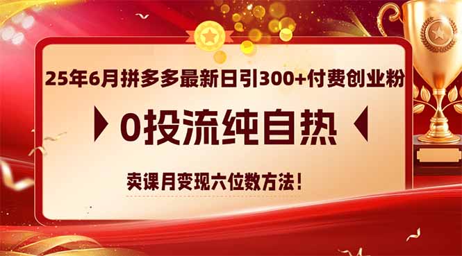 25年6月拼多多最新日引300+付费创业粉,0投流纯自热 卖课月变现六位数方法-千优网创