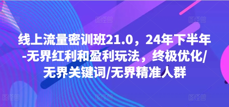 线上流量密训班21.0，24年下半年-无界红利和盈利玩法，终极优化/无界关键词/无界精准人群-千优网创