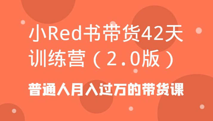 小Red书带货42天训练营(2.0版)普通人月入过万的带货课-千优网创