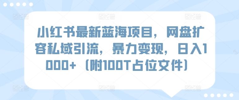 小红书最新蓝海项目，网盘扩容私域引流，暴力变现，日入1000+(附100T占位文件)【揭秘】-千优网创